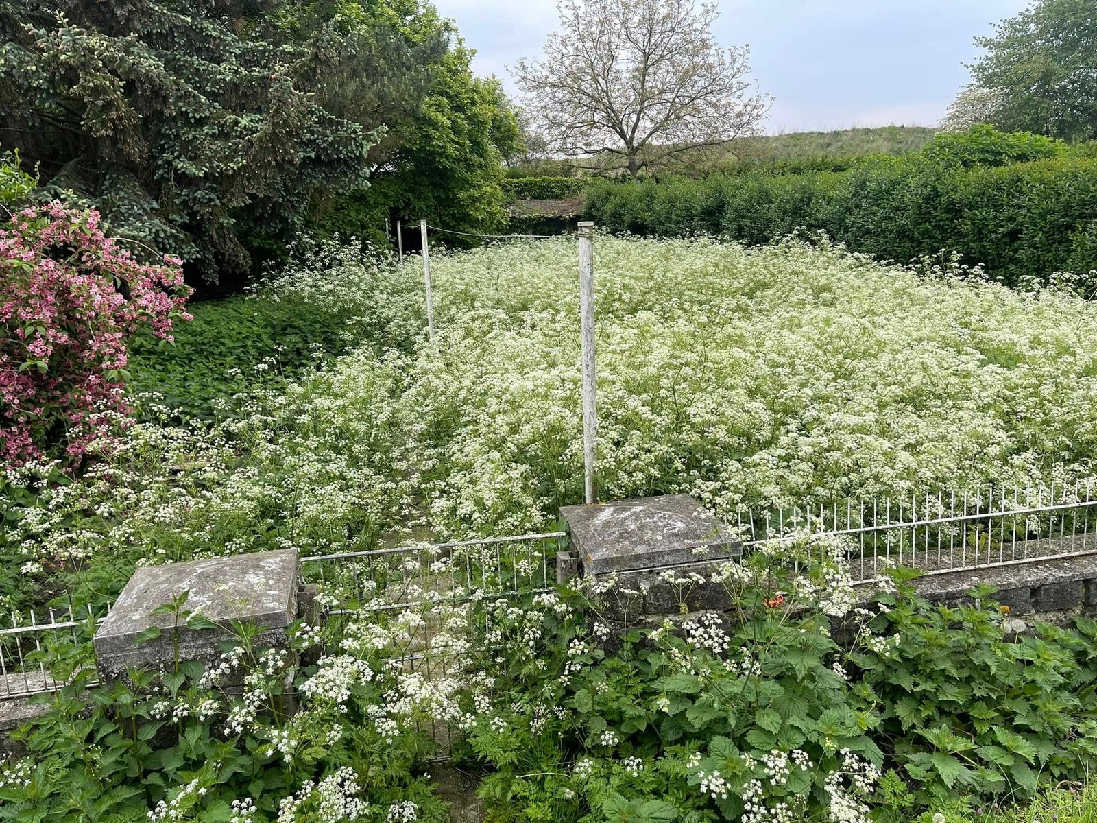 Réalisation paysagère 3